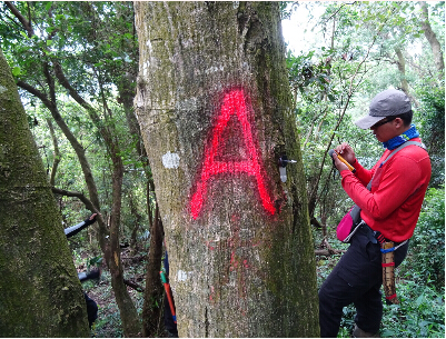RFID技术在森林资源管理的应用