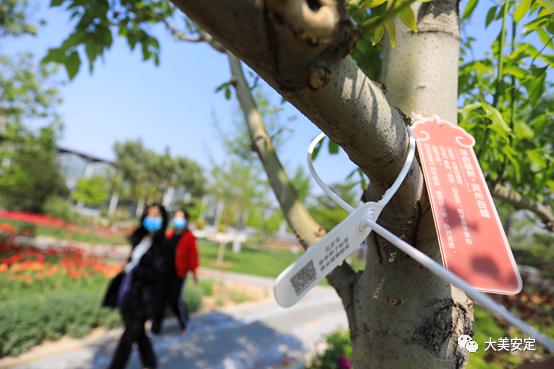 北京一苗企为苗木挂上电子标签，推进林木管理向数字信息化迈进